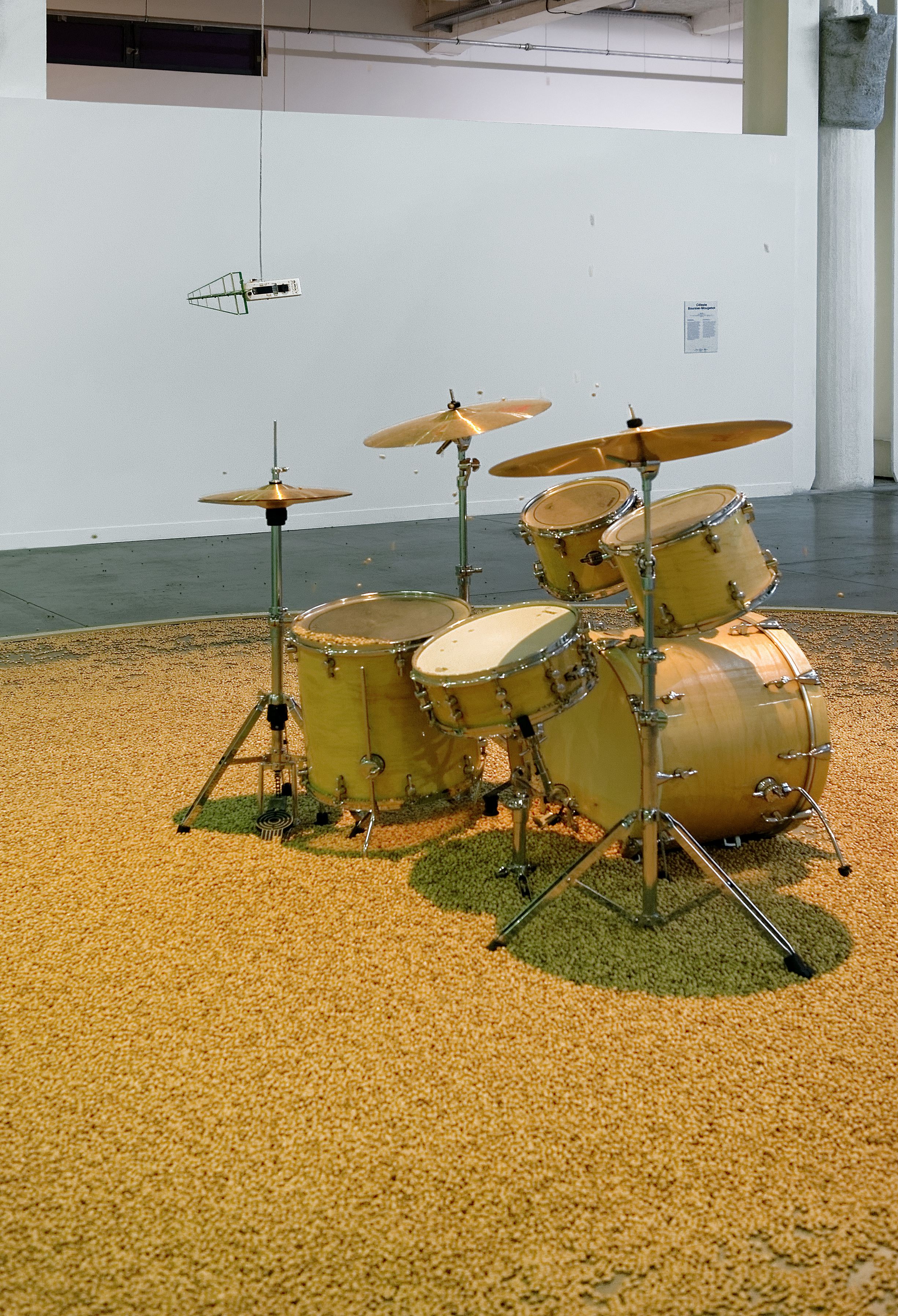 Céleste Boursier Mougenot