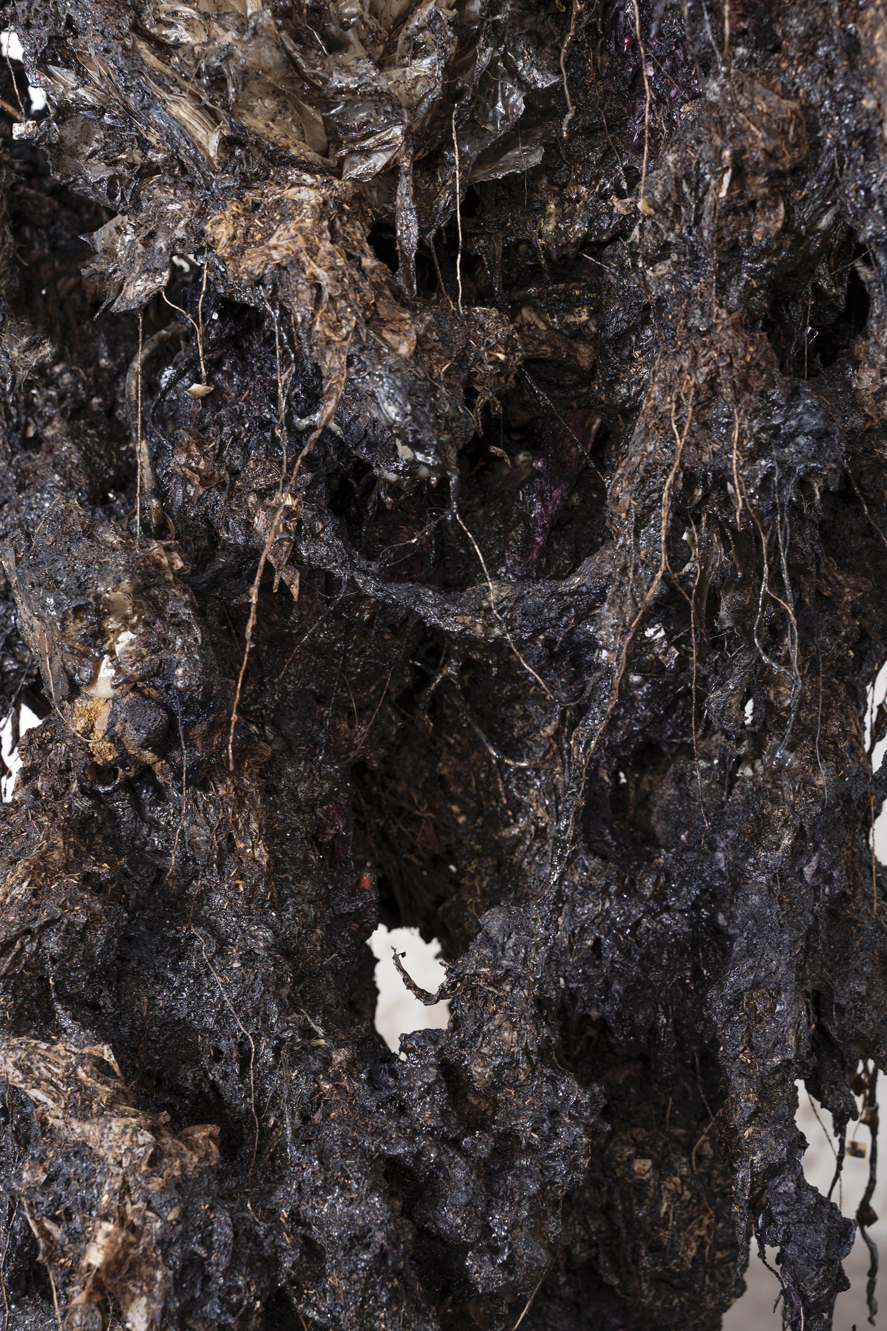 Gabriele Silli / Anticipazione della fine