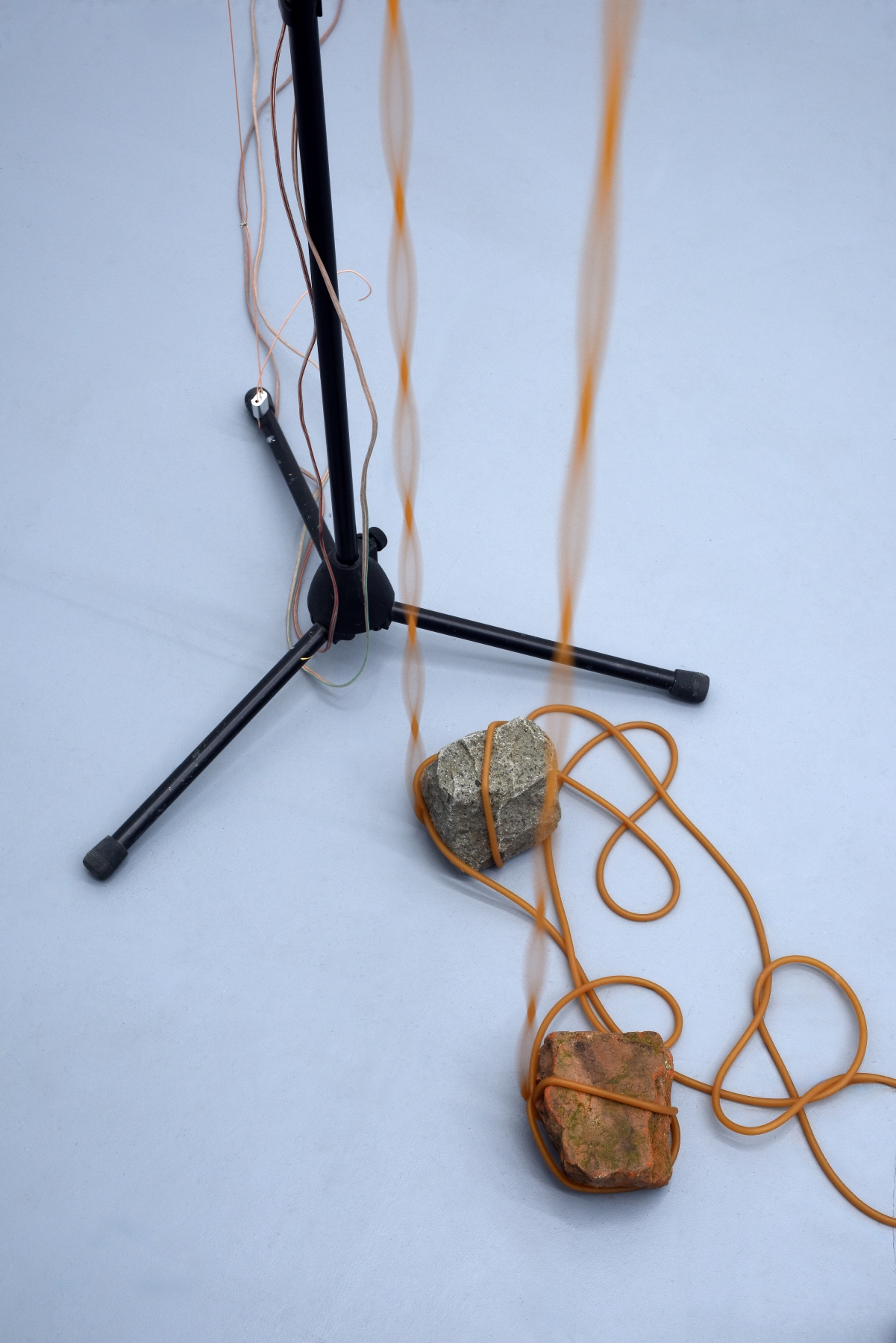 Conference of Echoes